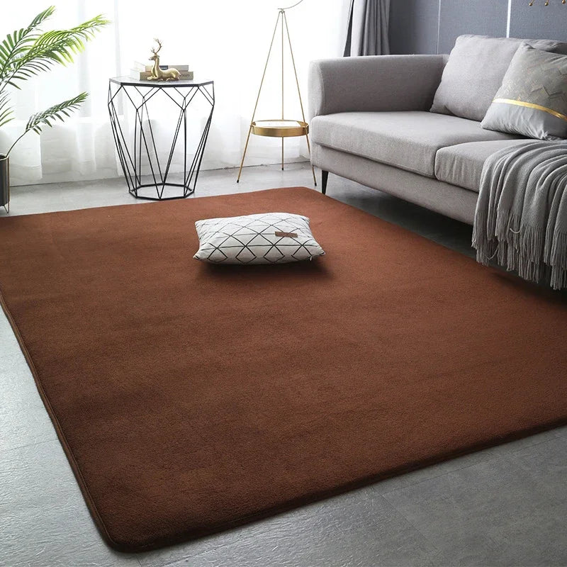 Living Room Carpet