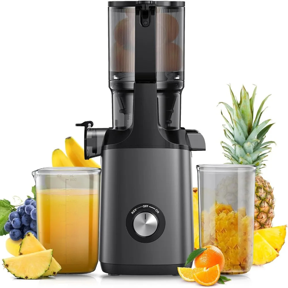 Cold Press Juicer