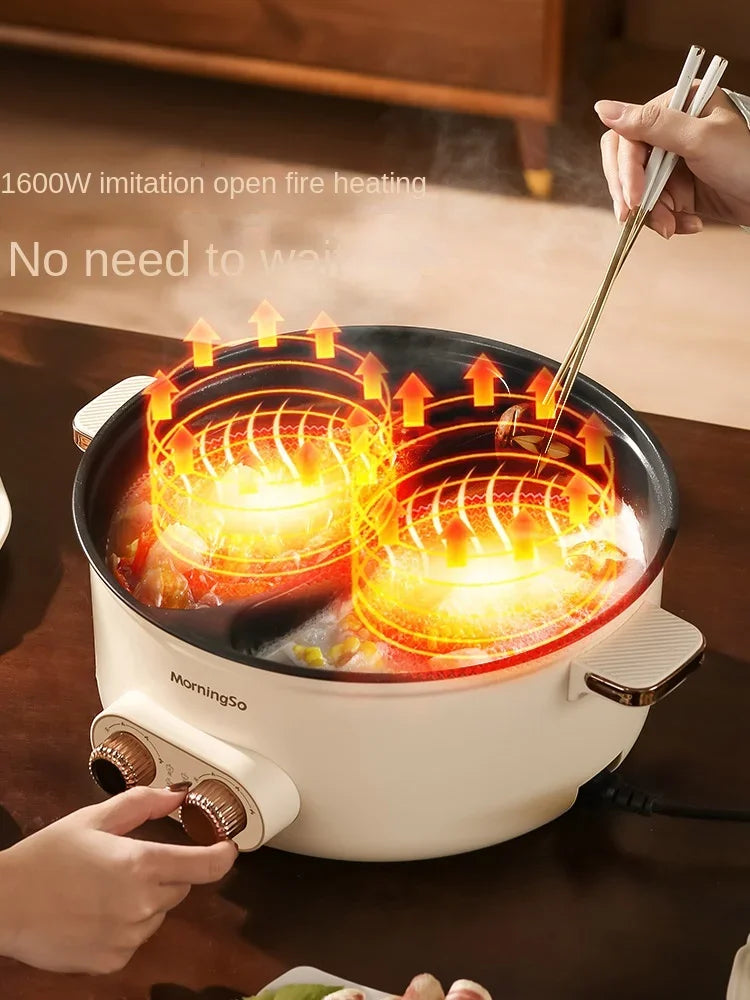 Double-flavor electric pot